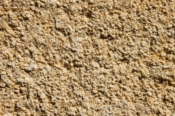 Détail calcaire coupé close-ups — Photo