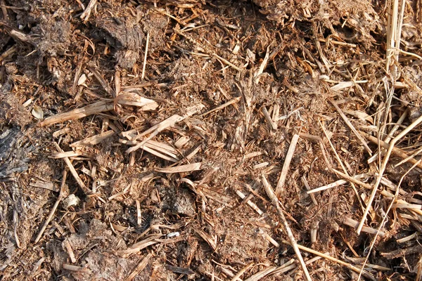 Фрагмент компостной кучи — стоковое фото
