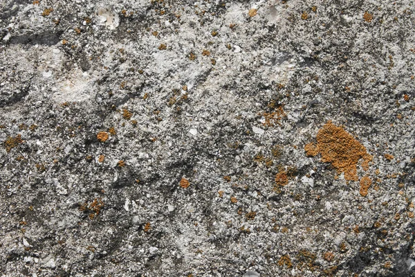 Limestone rock partly coated of lichens — Stock Photo, Image