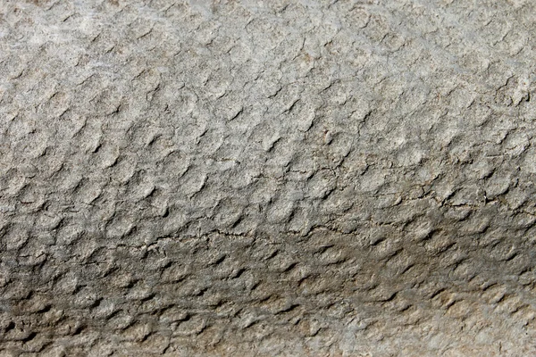 Fragment eines alten Dachschiefers — Stockfoto