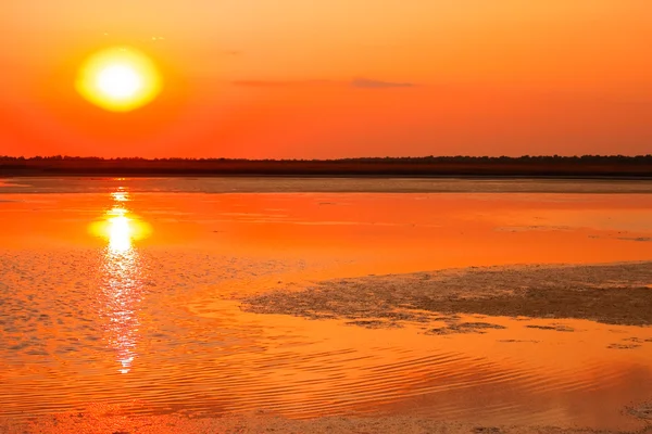 Закат над болотом — стоковое фото