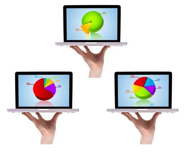 Dimensional colorful chart collection in laptop 2 — Stock Photo, Image
