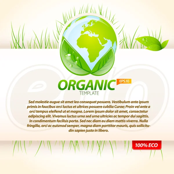 Organické eco šablona 1 — Stockový vektor