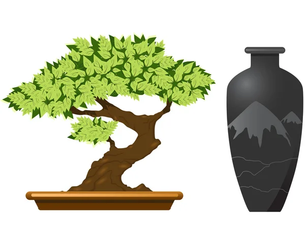 Drzewo Bonsai — Wektor stockowy