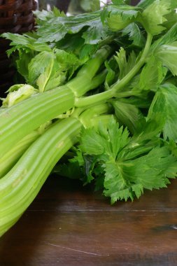 Organic fresh celery clipart