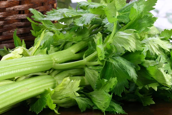 stock image Organic fresh celery