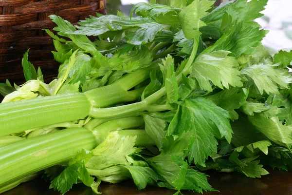 stock image Organic fresh celery