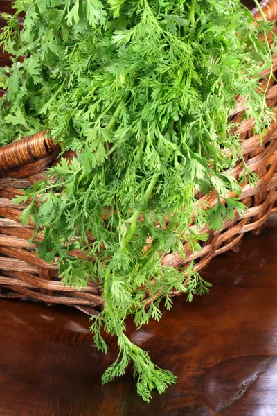 stock image Organic fresh cilantro on basket