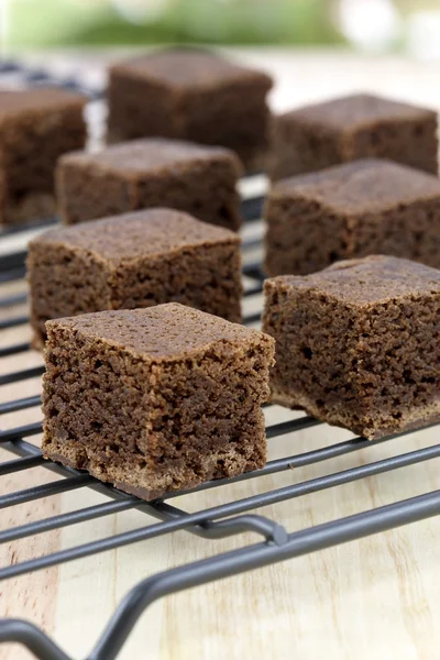 stock image Chocolate brownies