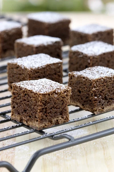 Stock image Chocolate brownies with powdered sugar on top