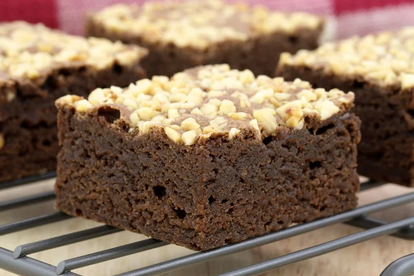 stock image Chocolate brownies with cracked peanuts on top