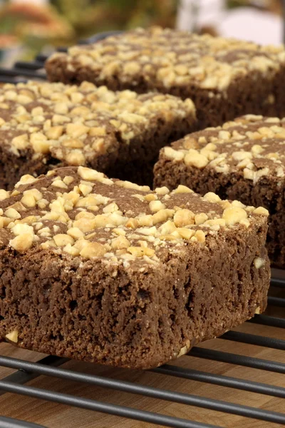 stock image Chocolate brownies with cracked peanuts on top