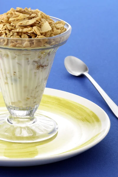Heerlijke yoghurt en muesli — Stockfoto