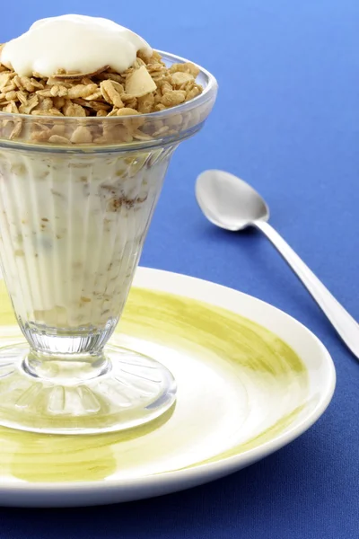 Heerlijke yoghurt en muesli — Stockfoto