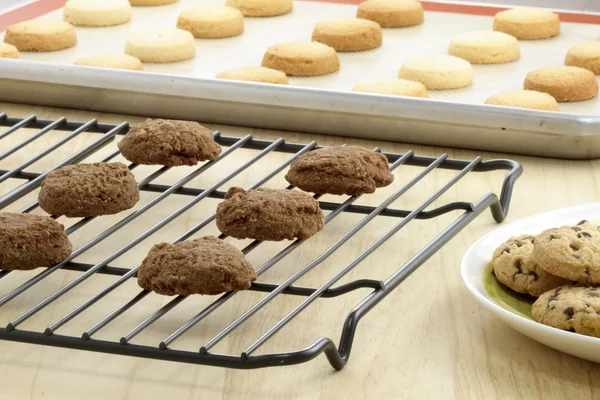 맛 있는 모듬된 쿠키 — 스톡 사진