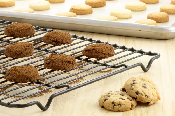 Deliciosos biscoitos variados — Fotografia de Stock