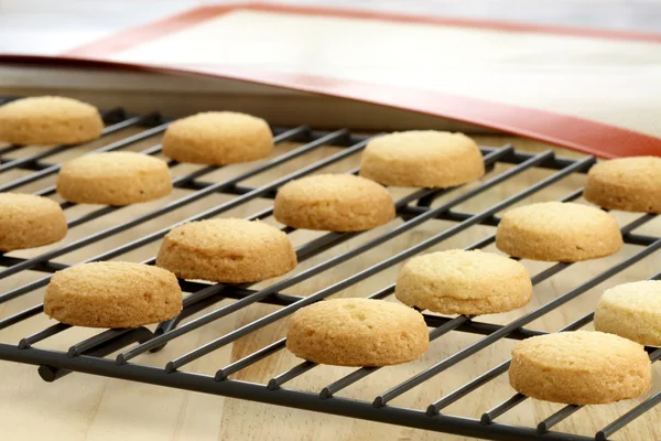 Krátké chléb soubory cookie — Stock fotografie