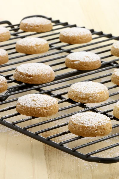 Short bread cookies — Stock Photo, Image