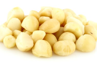 Macadamia fındık