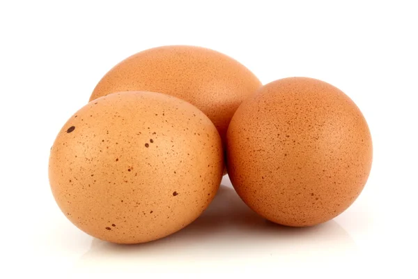 Stock image Brown raw eggs