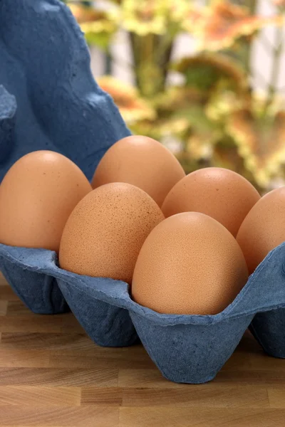 Kahverengi çiğ yumurta — Stok fotoğraf