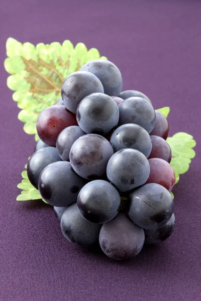 Raisins frais Concord — Photo