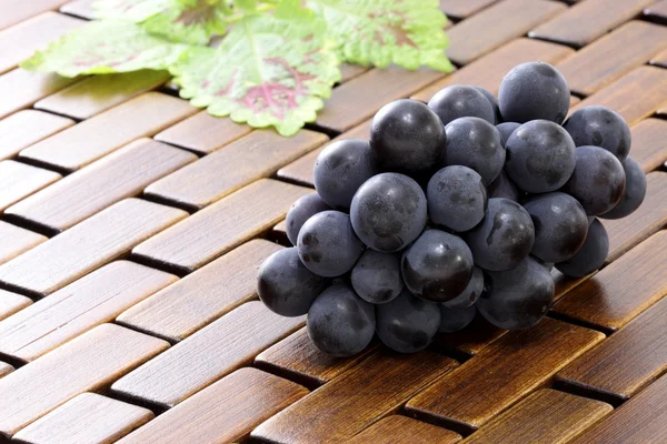 stock image Fresh concord grapes