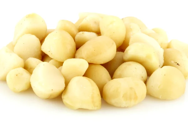 stock image Macadamia nuts