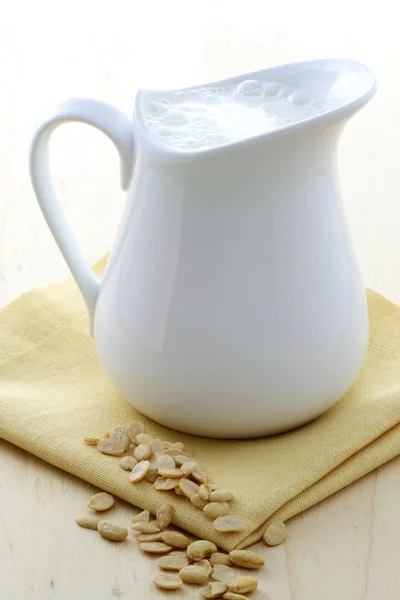 Delizioso latte di soia — Foto Stock