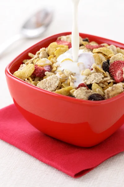 stock image Healthy fresh cereal