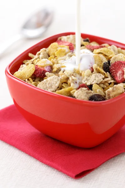 stock image Healthy fresh cereal