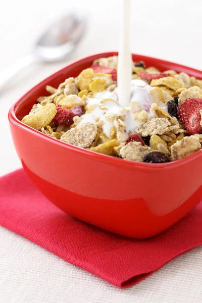 stock image Healthy fresh cereal