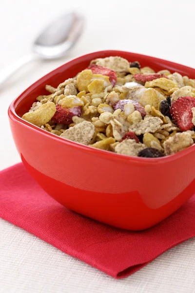 Cereales frescos saludables — Foto de Stock