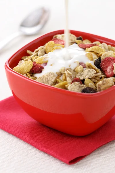 Cereales frescos saludables — Foto de Stock