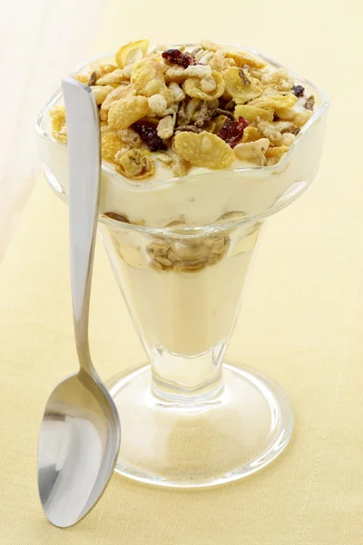 stock image Healthy and delicious parfait