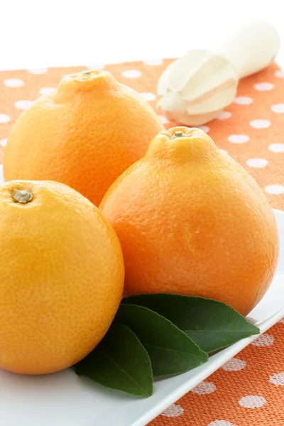 Fresh healthy oranges — Stock Photo, Image