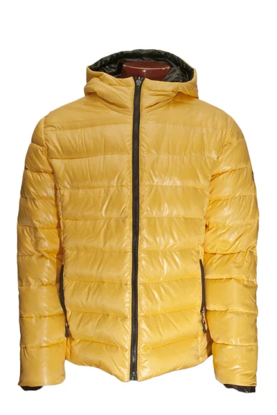 Yellow jacket — Stock Photo, Image