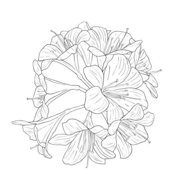 Blumenhintergrund mit blühenden Lilien — Stockfoto