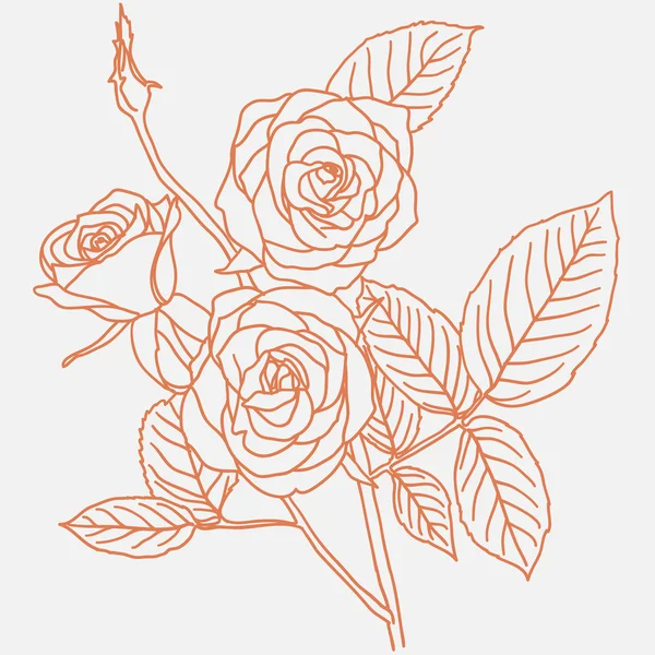 Illustration à la main d'un bouquet de roses — Photo