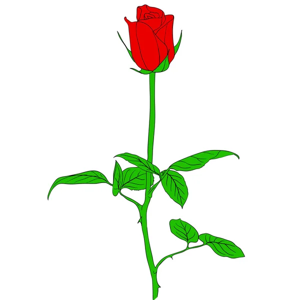 Egy vörös rózsa a kézzel rajzolt stílusban — Stock Fotó