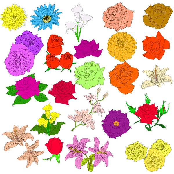 Conjunto de rosas em estilo desenhado à mão EPS 10 ilustração . — Fotografia de Stock
