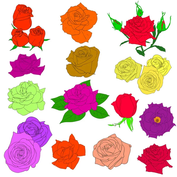 Set of in hand drawn style roses EPS 10 illustration. — 图库照片