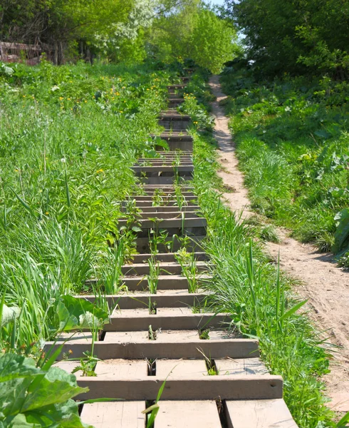 The wooden ladder is located a hill slope — Stock Photo, Image