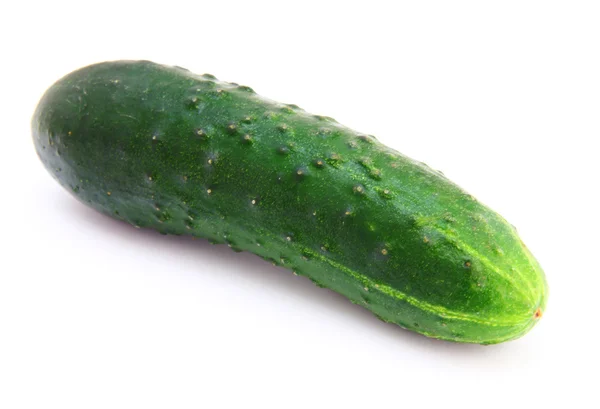 Färsk grön gurka på en vit bakgrund — Stockfoto