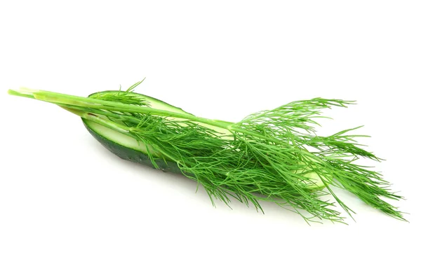 Een komkommer met de gesneden half liggend op een dill — Stockfoto