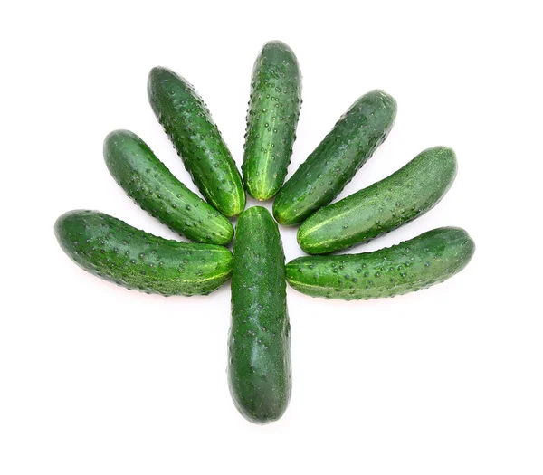 Komkommers in de vorm van een groene boom — Stockfoto