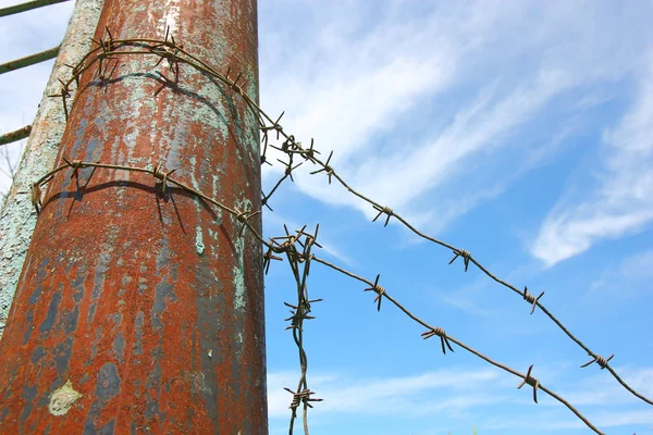 Barbed wire on the pole against the blue sky — Stock Photo, Image