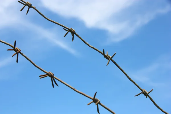 Barbed wire against the blue sky — Stock Photo, Image