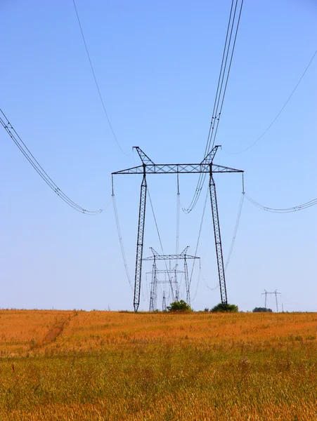 Rede elétrica perto do campo — Fotografia de Stock