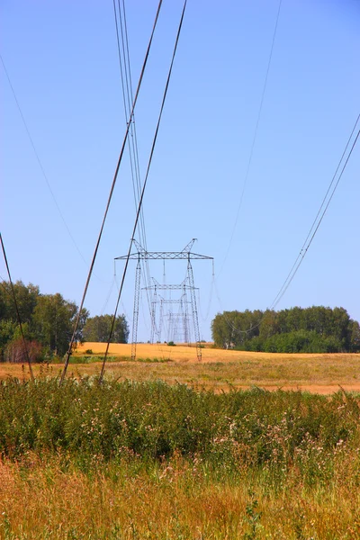 Rete elettrica vicino al campo — Foto Stock